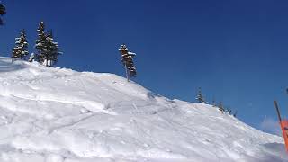 Kicking Horse views