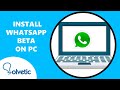 💻 How to INSTALL WhatsApp BETA on PC