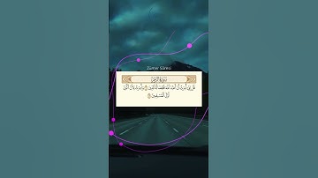 حالات واتس اب القرآن الكريم ماهر المعيقلي 💚🖇