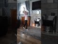 Gymnastics Cartwheel #smooth #gymnastics #cartwheel #maisie