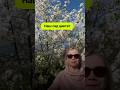 Цветущий сад и секрет здоровья без химии / Подписывайся. #чащеотдыхать #здоровье#уборкабезхимии