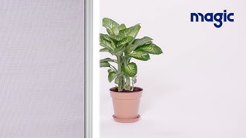 Less Screen, More Natural Light | Retractable Insect Screens From Magic
