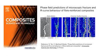 Phase field predictions of microscopic fracture and R-curve behaviour of fibre-reinforced composites