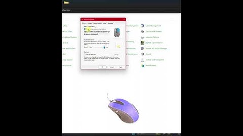 How to Swap Action of Left & Right Mouse Buttons on Windows® 11