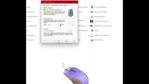 How to Swap Action of Left & Right Mouse Buttons on Windows® 11