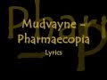 Mudvayne - Pharmaecopia lyrics on screen