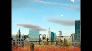 Tosca - My First Ambient (Live)