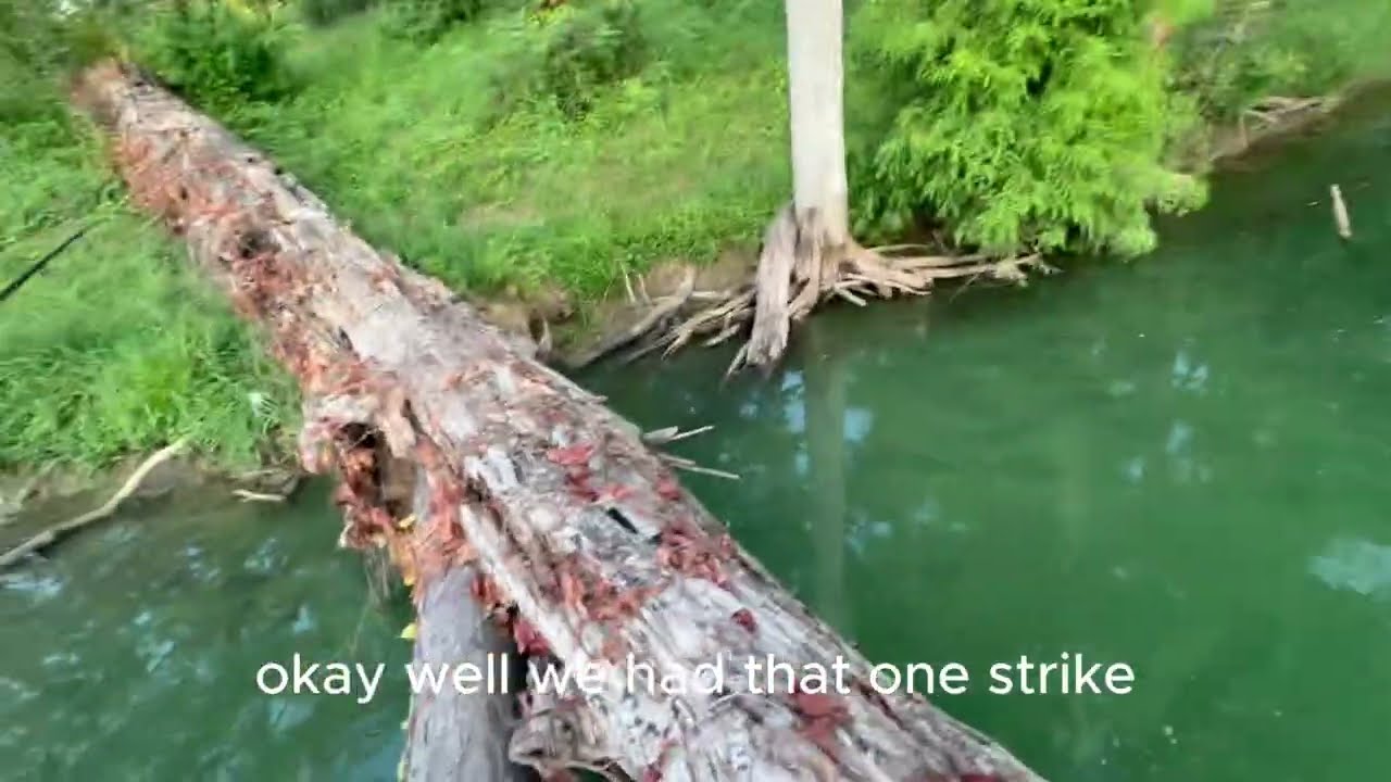 Early Morning Bass Fishing | Fishing Vlog Ep. 3