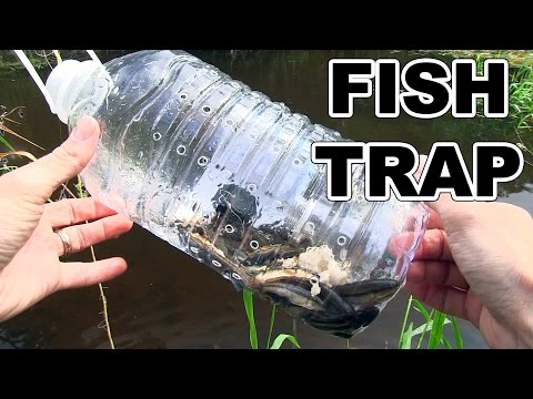 How to make a fish trap with plastic bottle - Awesome Life Hacks!
