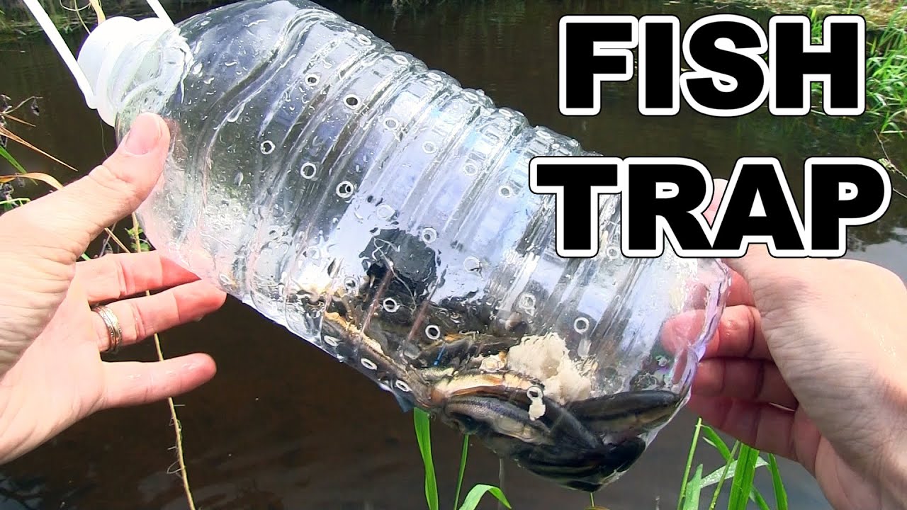 How to make a fish trap with plastic bottle - Awesome Life Hacks