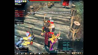 Funny bug at Vindictus