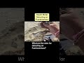 Can I Metal Detect on Fuerteventura? #metaldetecting #beachmetaldetecting