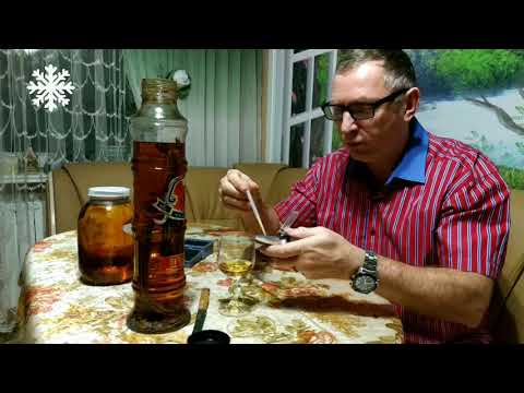 Дегустация китайской настойки со змеёй, 21 год выдержки!