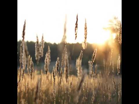 Chabad Nigun Rachamono 5