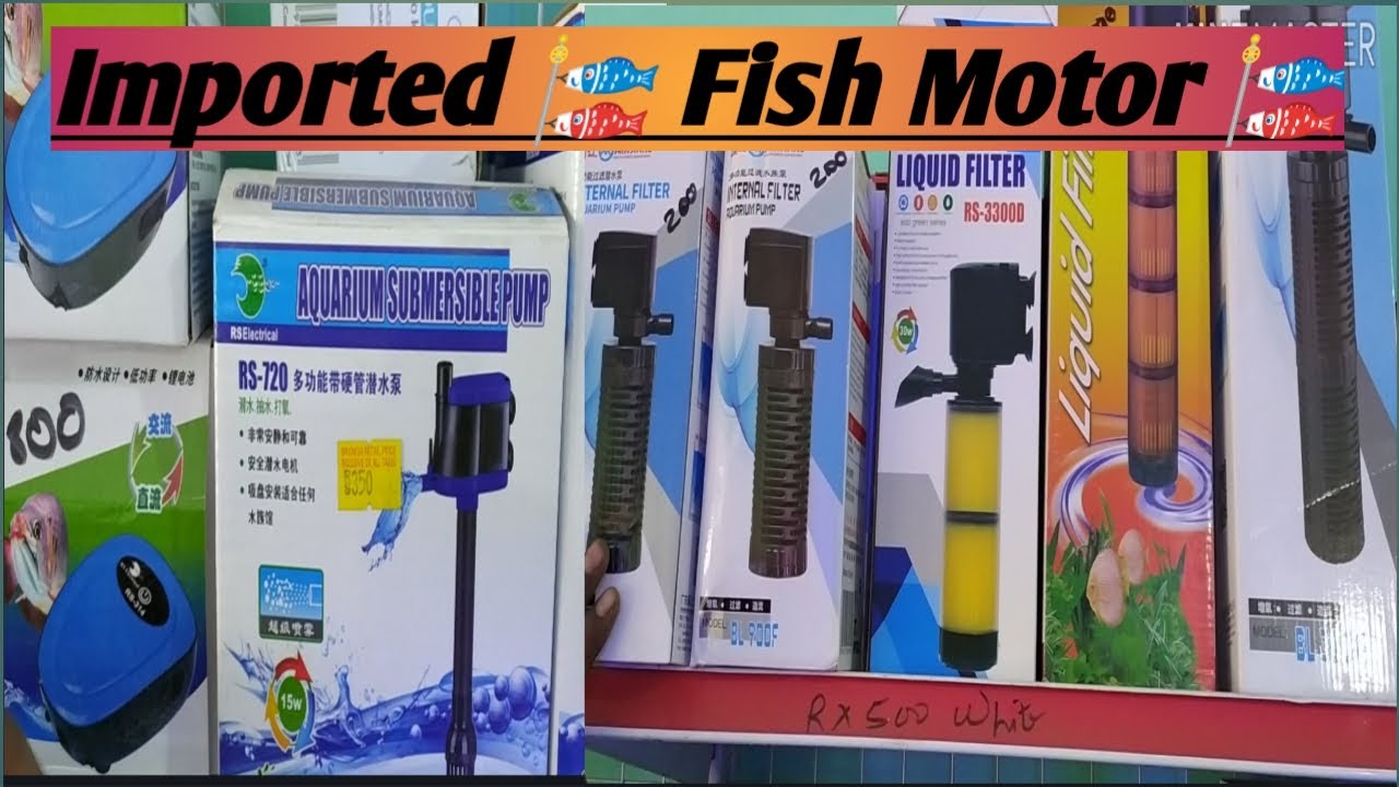 Imported fish motor video 13 YouTube