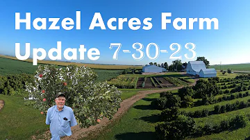 Hazel Acres July 2023 Farm Update and Tour