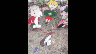 Charlie Brown/some of yard.