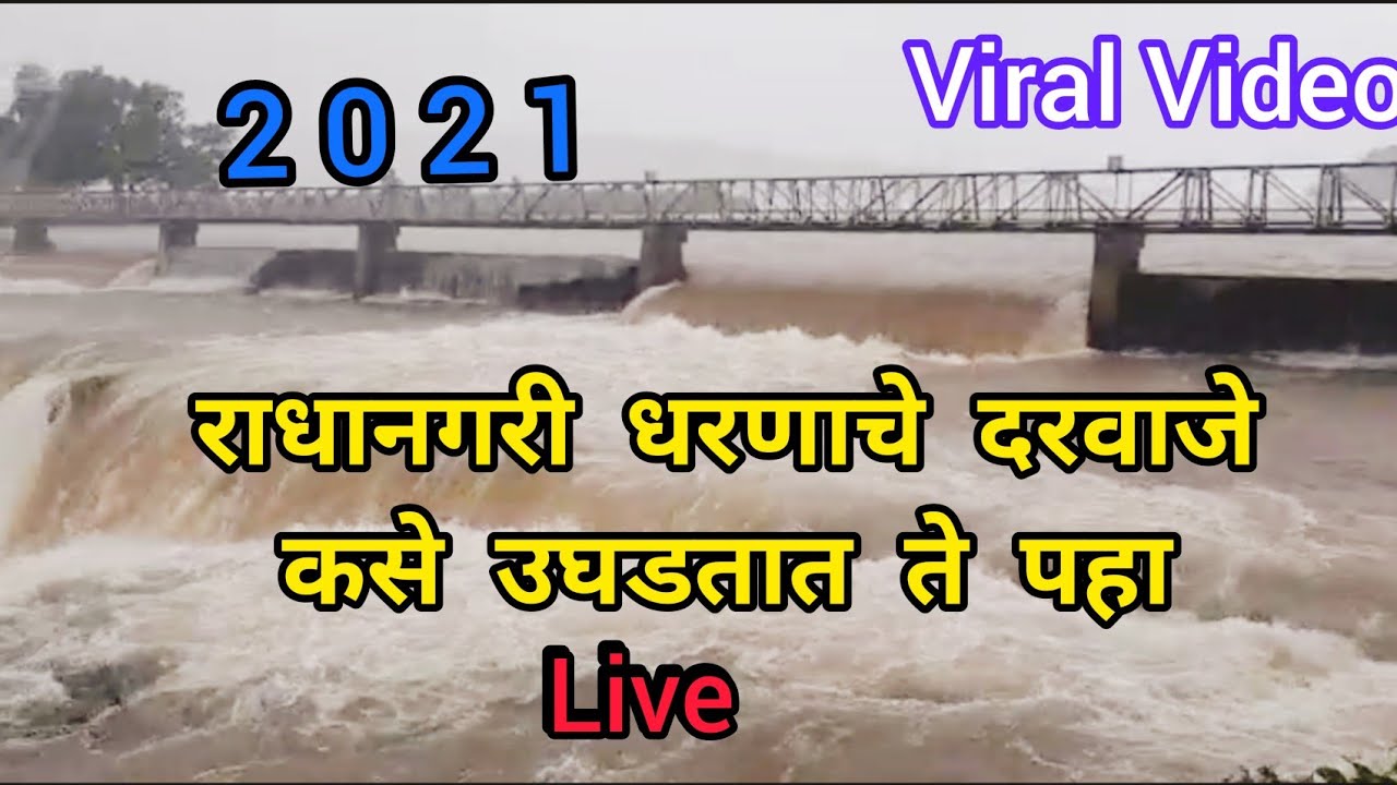 राधानगरी धरण | 25 July 2021 | Radhanagari Dam Live | viral video | radhanagari dam automatic doors
