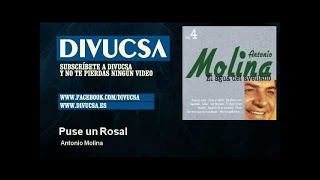 Versión 3 del video