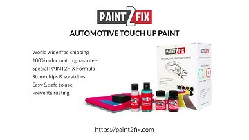 PAINT2FIX   Automotive Touch Up Paint Kit