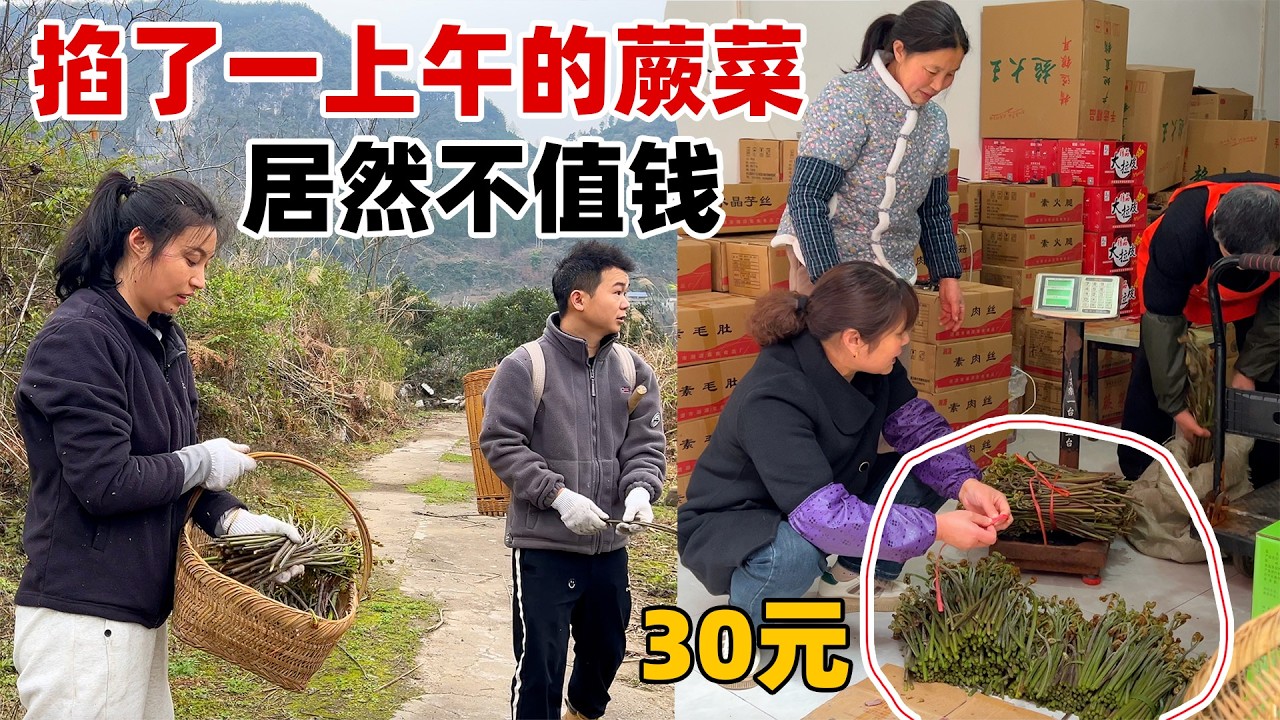 小唐第一次摘野菜去城里卖，没想到辛苦一早上只换来三十块的收入，太不划算了，还不够油费