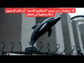 10 معلومات عن سجن الدولفين الأسود أحد أكثر السجون أمان ا وخطورة في العالم 10 معلومات عن سجن الدولفين الأسود أحد أكثر السجون أمان ا وخطورة في العالم