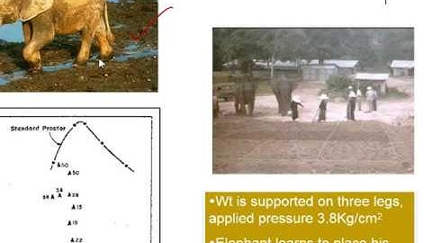 Soil Compaction Lecture 1