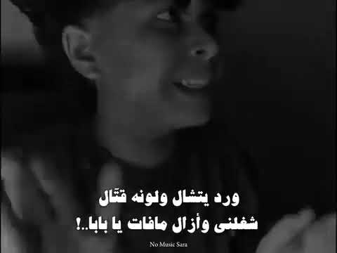 رمش خطاف والسحر اصناف آدم الأمير