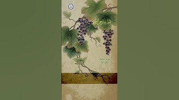 بسم الله الرحمن الرحيم  🌿 تلاوة ماتيسر من سورة  المائدة 90🕌