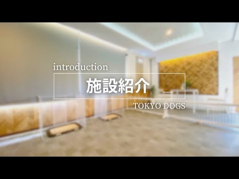 【公式】TOKYO DOGS "exterior"
