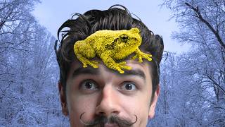 This Amazing Tree Frog Freezes Thaws