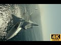 Top gun maverick 2022  epic final fight scene  f14 vs 2 gen 5 jets  remastered in 4k 60fps vf