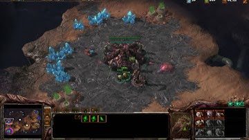 Starcraft 2 Amateur Hour - First Person Zerg - Part 1 of 2