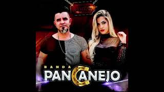 Download Lagu Tô Solteiro Tô Largado - Banda Pancanejo CD Volume 05 MP3