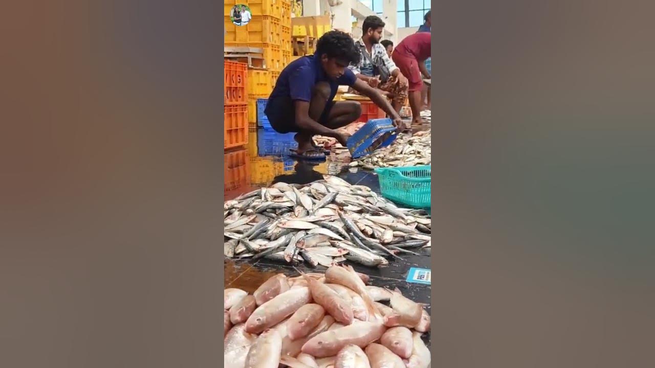 vanagaram-fish-market-varieties-shorts-bharya-vlogs-youtube