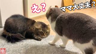 ママに異変…。ずっと心配していた症状の原因が判明しました。