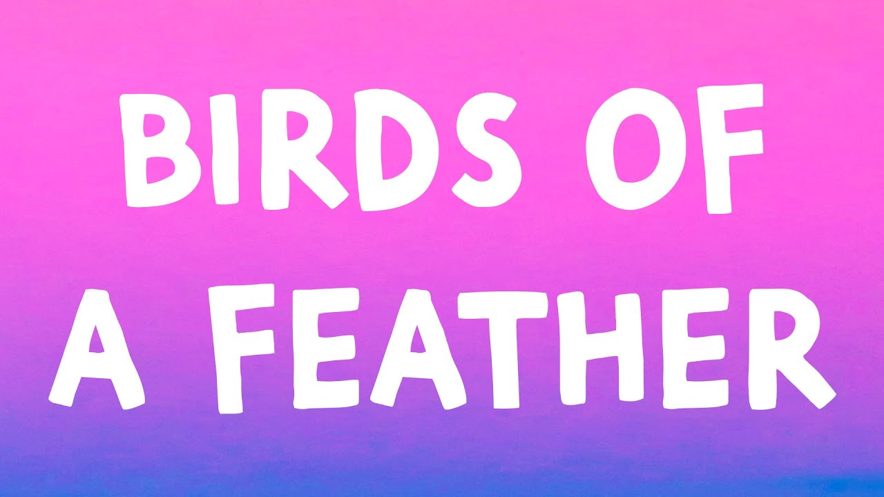 Billie Eilish - BIRDS OF A FEATHER (Lyrics) Billie Eilish - BIRDS OF A FEATHER (Lyrics)
