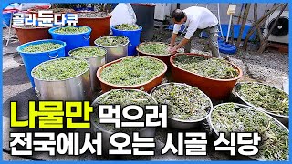 방송국에서 또 왔네. 산에서 직접 캔 산나물로 하루 500명 전국에서 찾아오는 지리산 시골 식당┃일반 식당에서 못 먹는 진짜 보약 같은 밥상┃산나물 뷔페 맛집┃극한직업┃#골라듄다큐