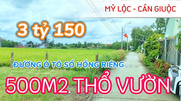 MỸ LỘC CẦN GIUỘC THỔ VƯỜN SỔ SẴN ĐƯỜNG Ô TÔ LIỀN KỀ ĐƯỜNG 835A