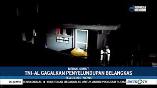 Tni Al Gagalkan Penyelundupan 7 Ribu Belangkas Ilegal