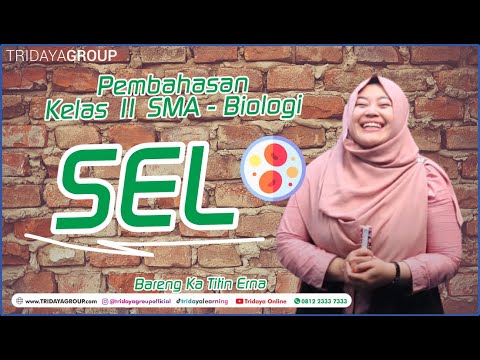 Video: Mengapakah sel dianggap sebagai unit struktur dan fungsi asas bagi semua organisma?