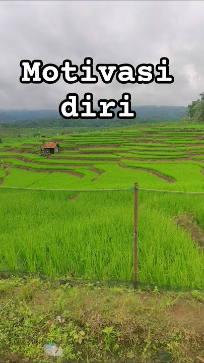 #storywa #motivation #love #viralvideo #sawah #shortsfeed #shortsvideo