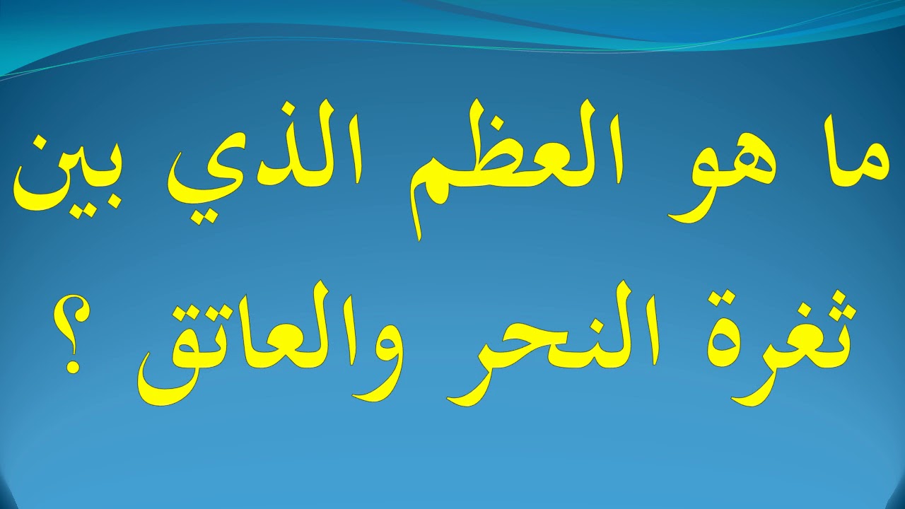 ما الذي يتكون في الدم لمحاربة مولدات الضد بيت العلم