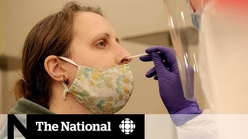 How businesses and schools use rapid COVID-19 tests