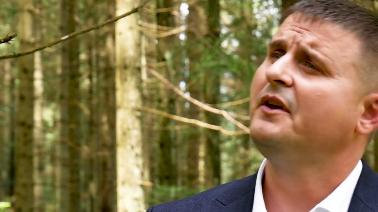 Sergiu Corini - Cântă-mi cucule