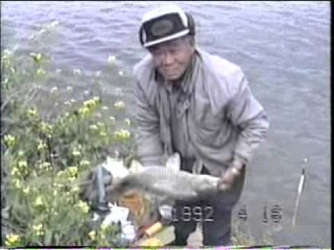 日本野鯉紀行 第2部 筑後川 Youtube 日本野鯉紀行 第2部 筑後川 Youtube