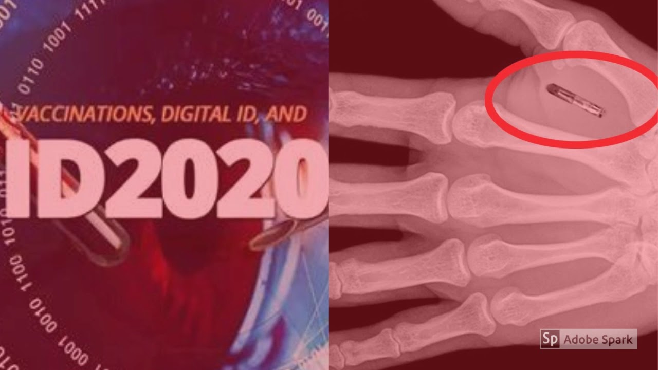 No Microchip   Bajan Mafia  High Energy Records