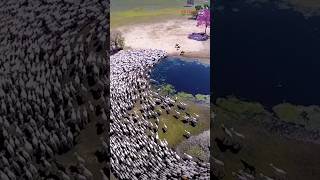 5 Maiores Fazendas Do Br