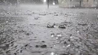 winter slow motion