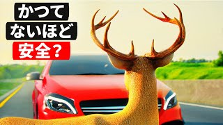 現代自動車の安全システム || その仕組みとは